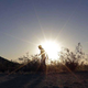 A man runs through South Mountain Park at sunrise to avoid the excessive heat in Phoenix. A record heat wave is rolling into Arizona, Nevada and California, potentially bringing 120-degree temperatures to Phoenix by early next week. (Image: AP/Matt York)